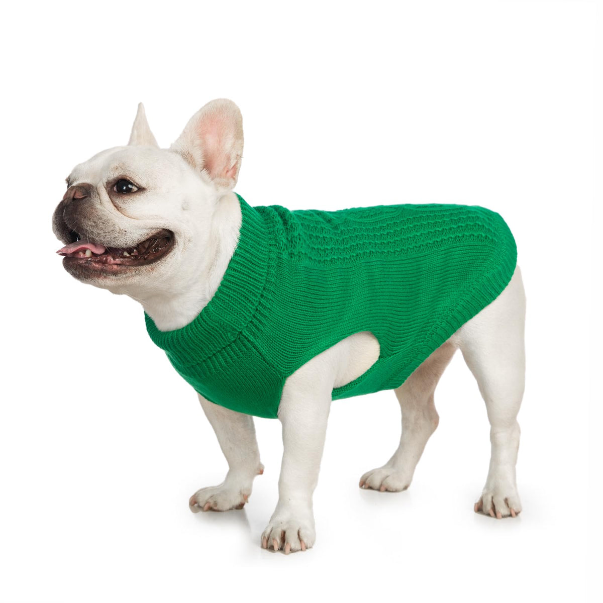 Cat Sweater Stretchy (Dark Green / XXL)