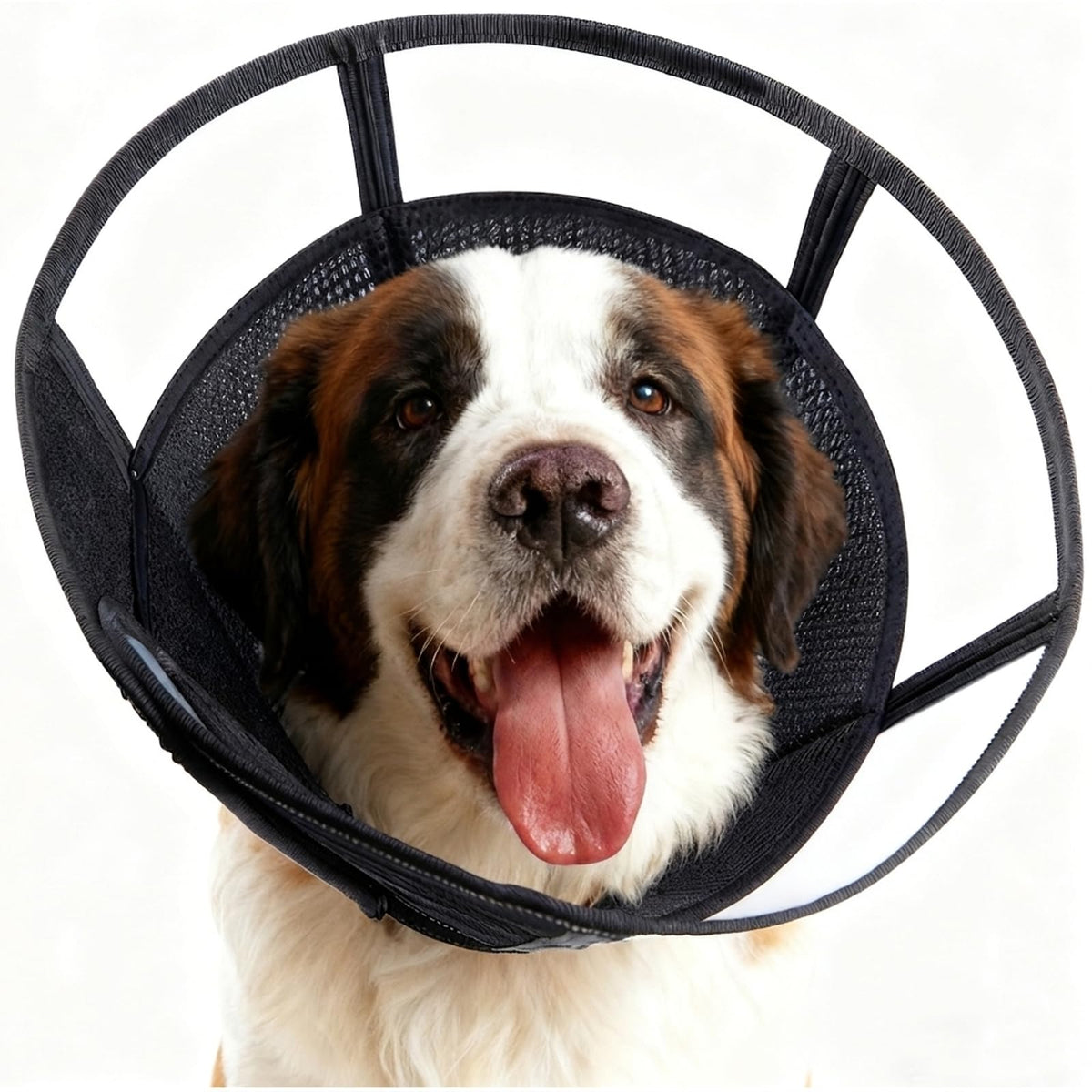 Extra Large Soft Dog Cone (Black / XXL(Neck:23.25-27.5in))
