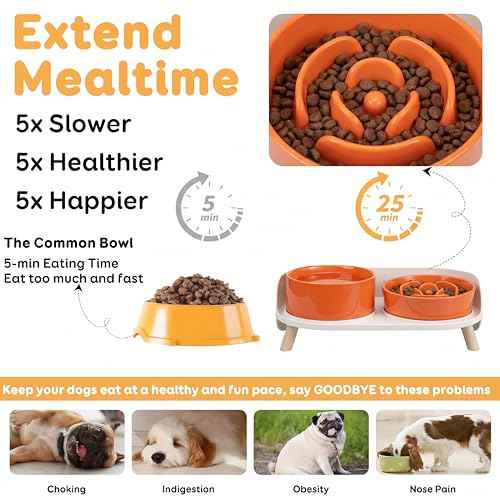 Elevated Slow Feeder Dog Bowls with Splash Proof Stand (Medium / Orange)