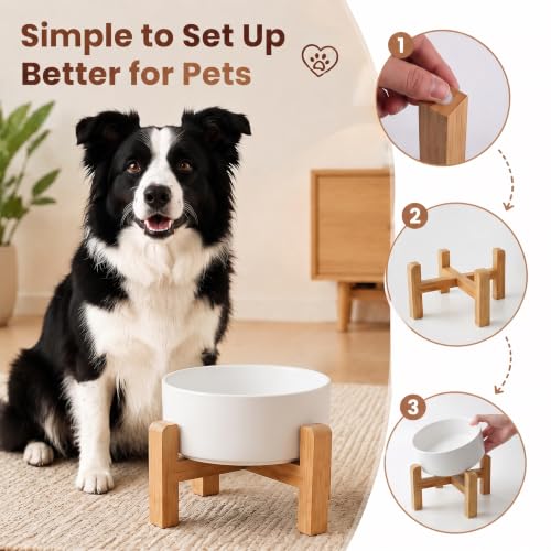 Elevated Ceramic Dog Bowl with Bamboo Stand (Gray Blue / 7.6Cup)