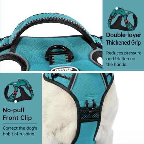 No Pull Dog Harness for Medium Dogs (Peacock Blue / Medium)