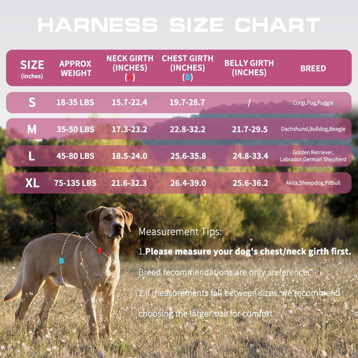 Dog Harness for Large Dogs (Pink / L(Neck:18-24",Chest:25-36"),45-80 lbs)
