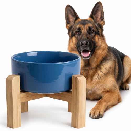 Elevated Ceramic Dog Bowl with Bamboo Stand (Deep Blue / 7.6Cup)