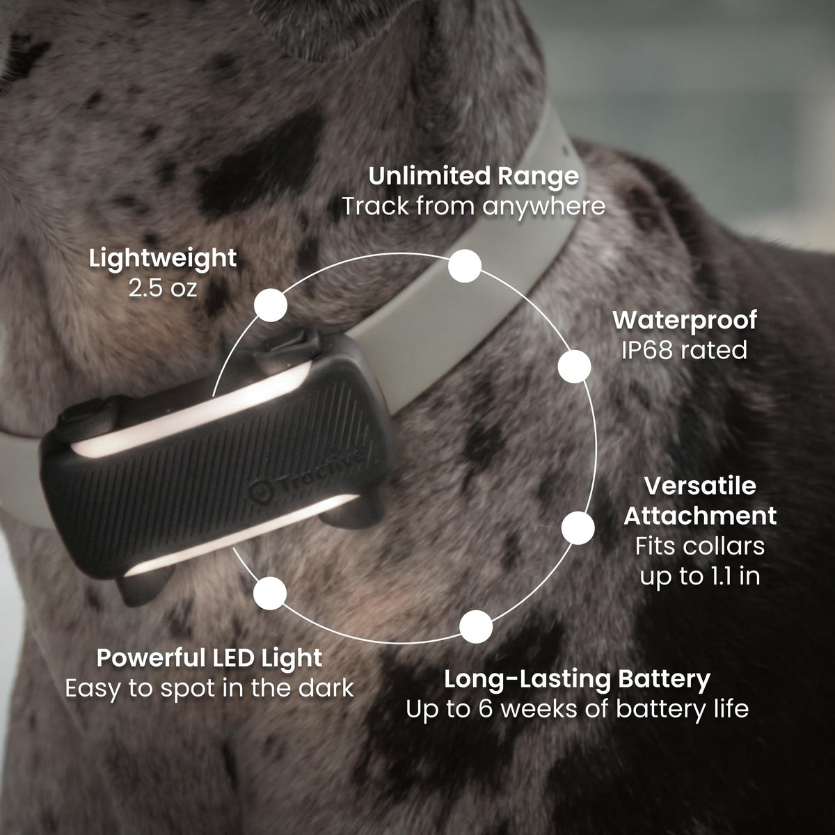 XL Smart Dog GPS Tracker (Brown)