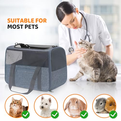 JUNGYOUN Premium Cat Carrier (Charcoal / 17.5"L x 12.4"W x 13.5"H)