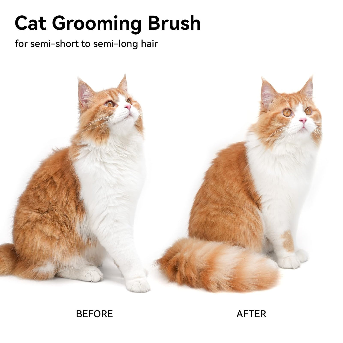 Cat Brush for Shedding (White)