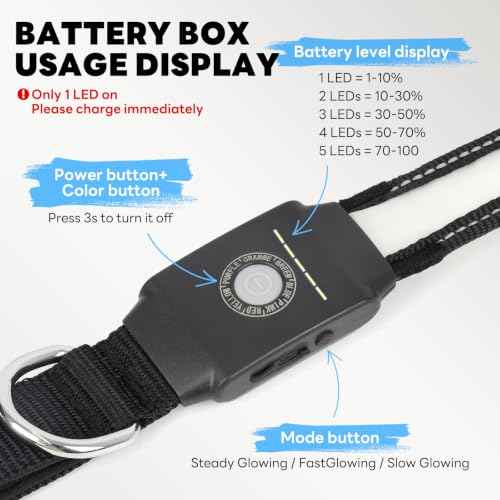 Rechargeable LED Dog Leash (Multi-colored-2)