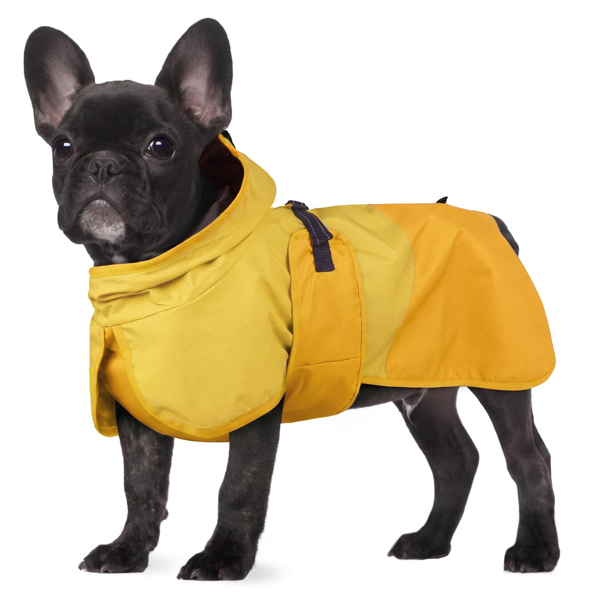 Dog Raincoat Waterproof Rain Jacket with Hood (S(Back Length11.8"") / Yellow)