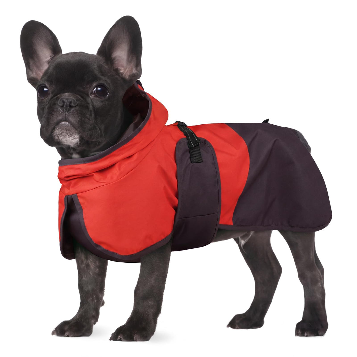 Dog Raincoat Waterproof Rain Jacket with Hood (S(Back Length11.8"") / Red Brown)