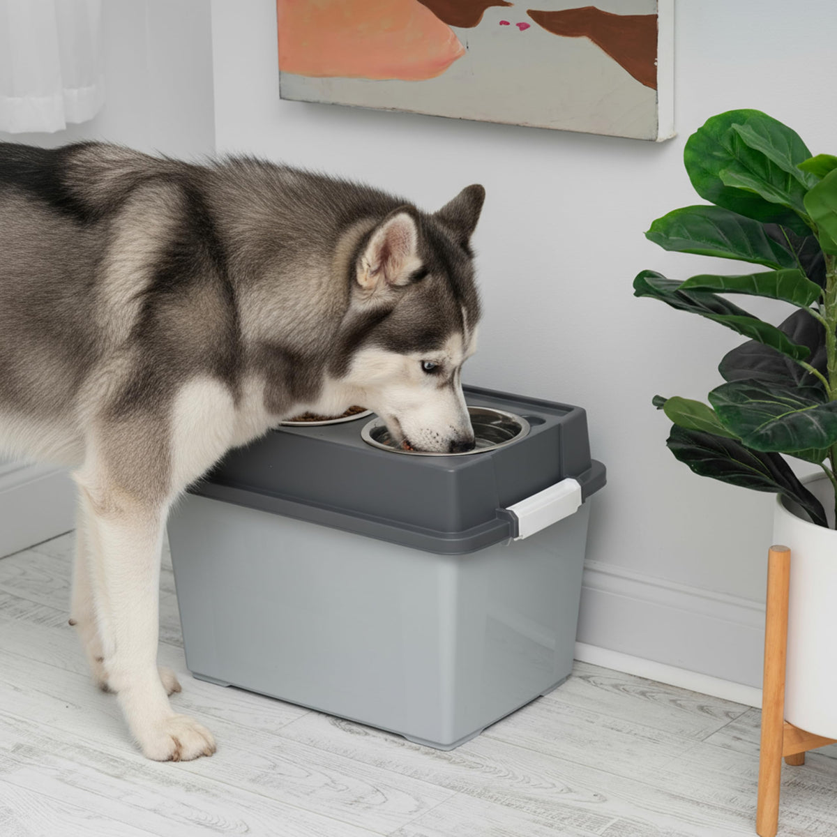 Elevated Dog Bowls 15" H (Large - 15"H w/ 2 Bowls / Dark Gray)
