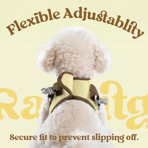 Dog Harness Small Sized and Leash Set (Beige & Coffee / M (Chest: 16.0"-18.5"))