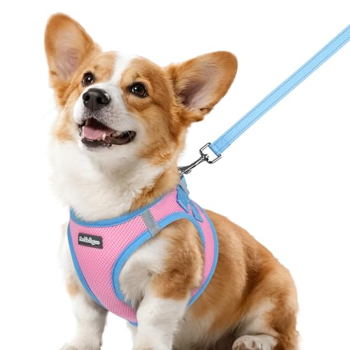Dog Harness Small Sized and Leash Set (Pink & Blue / L (Chest: 18.2"-20.5"))