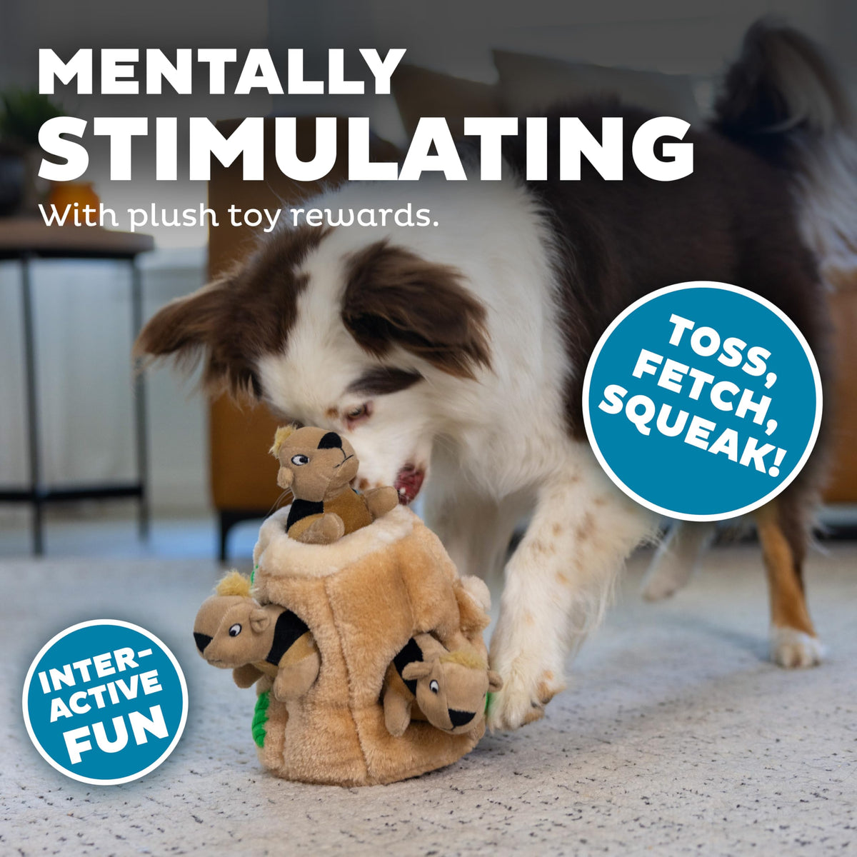 Hide-A-Squirrel Plush Squeaky Dog Toy, Medium, 6.5" x 6.5"
