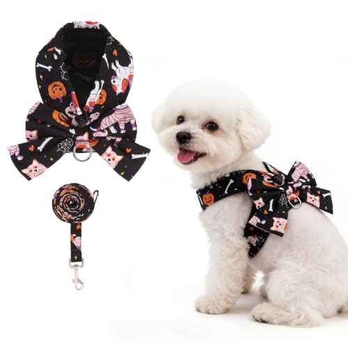 Halloween Dog Harness and Leash Set for Small Medium Sized Dogs Cats (BLACK / S (Chest Girth: 13.8"-15.7"))