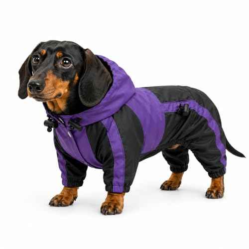 Welsh Corgi Dog Hooded Raincoat (D-M (for Dachshund/Corgi) / Purple)