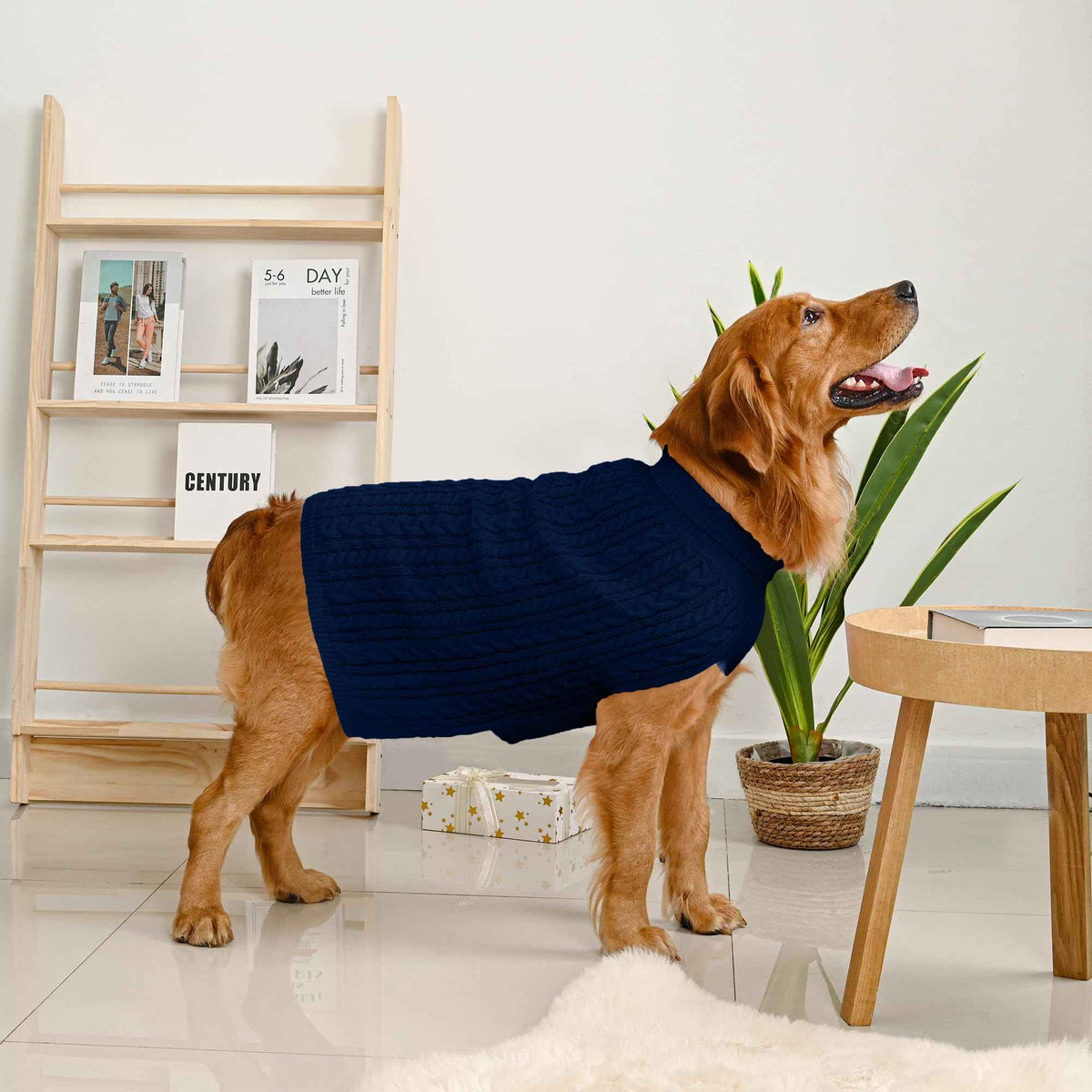 Dog Sweater 2 Pack for Large Dogs (Navy & Blue / XXXX-Large)
