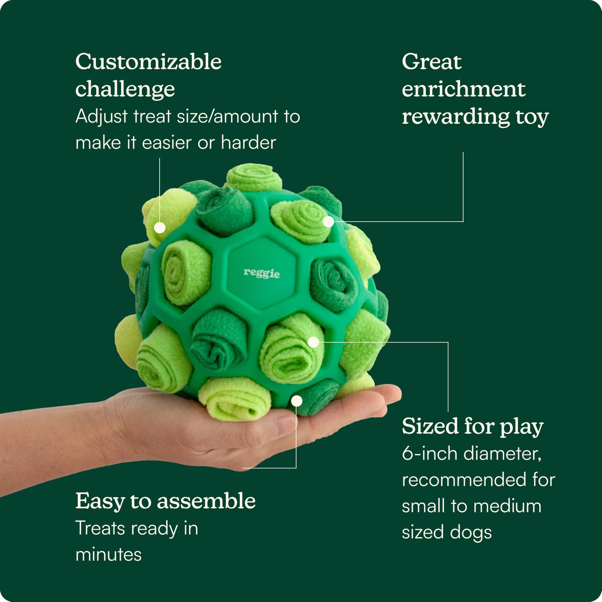 Dog Training Treats with Enrichment Toy (Forager Ball - Turkey & Pumpkin)