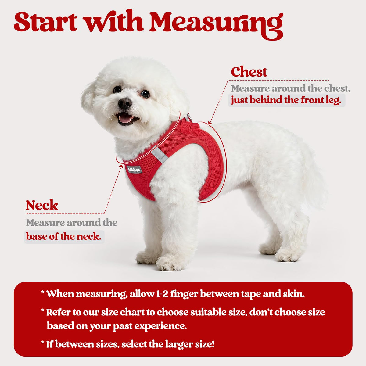 Dog Harness Small Sized and Leash Set (Red / Xxs (chest: 12.4 - 14.2"))