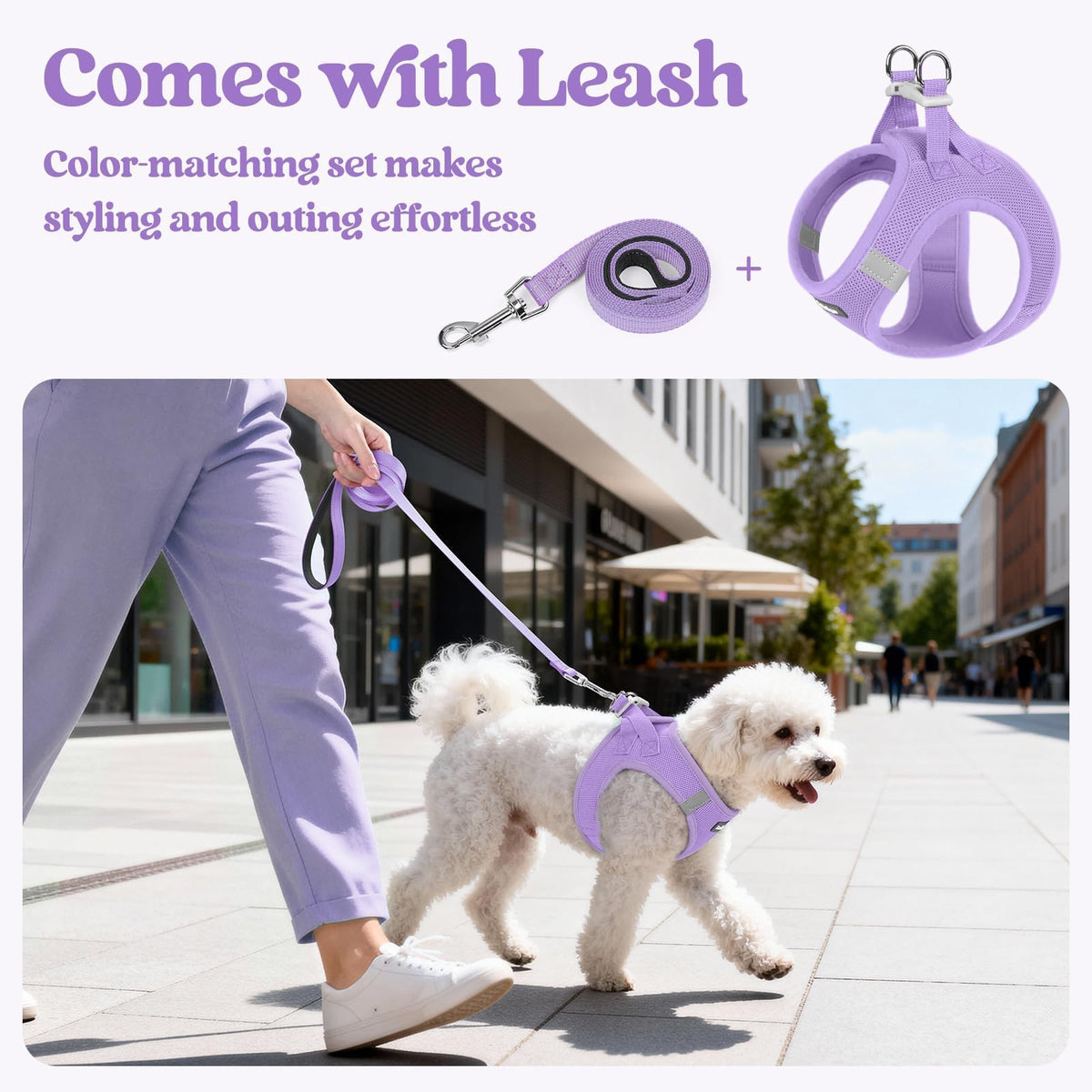 Dog Harness Small Sized and Leash Set (Light Purple / Xs (chest: 13.3 - 15.5"))