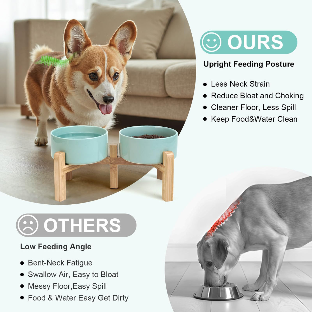 Elevated Dog Bowls Ceramic (6.1 in - 3.6 cups / Light Green)