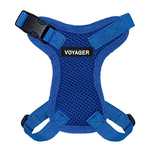 Voyager Step in Lock Cat Harness & Leash Set (Royal Blue / XXXS (Chest: 10.5 - 13"))