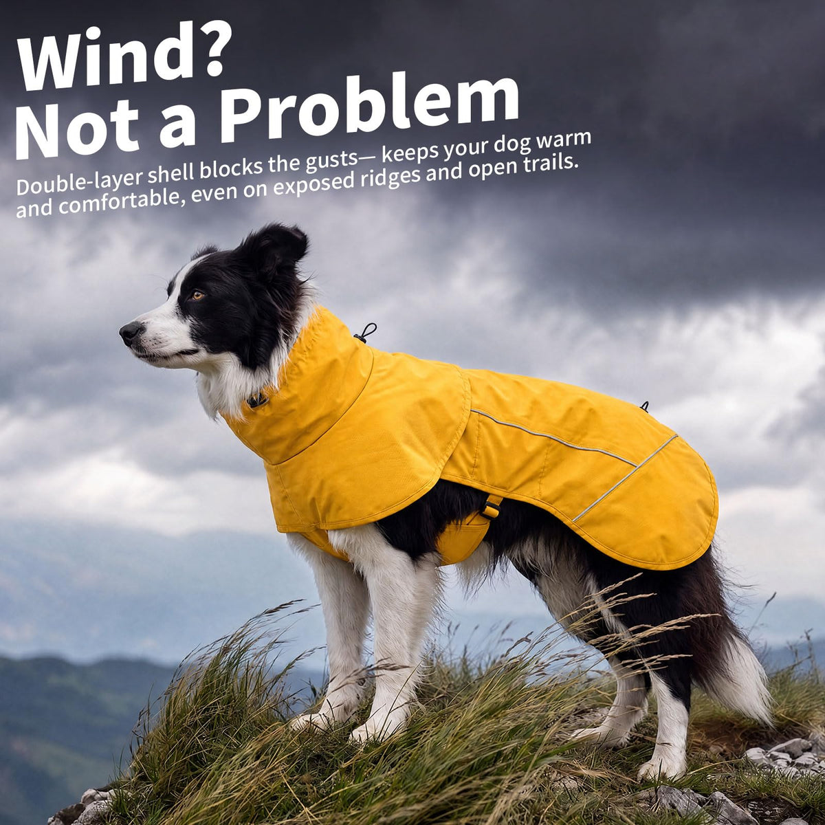 Dog Raincoat Full Body Coverage Waterproof Windproof Hooded Jacket (Yellow / Medium)