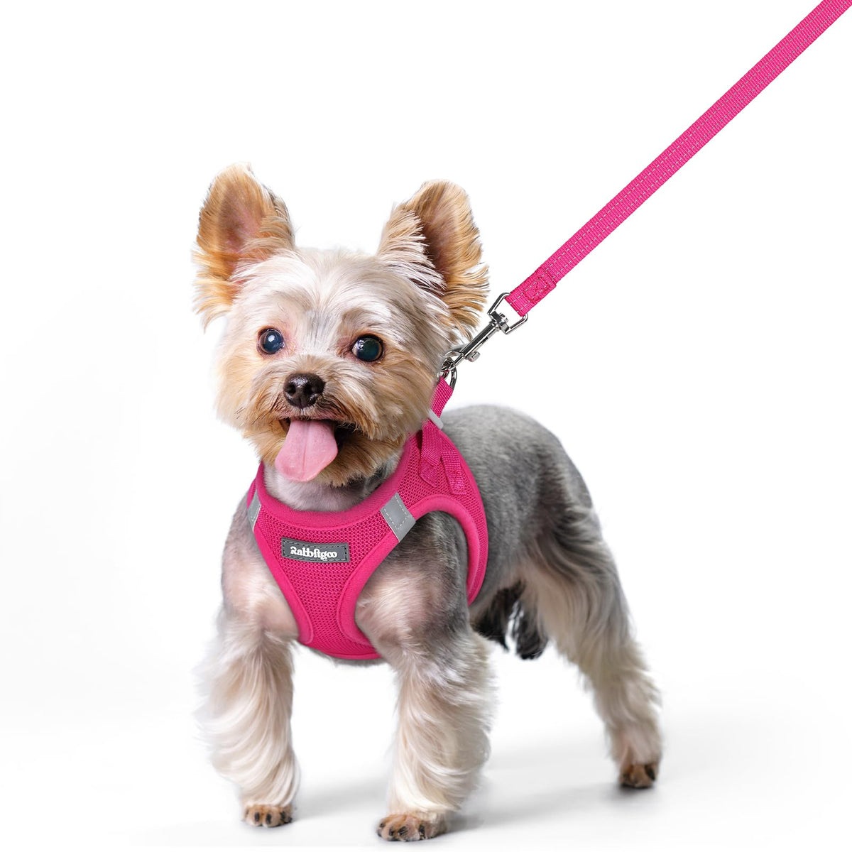 Dog Harness Small Sized and Leash Set (Rose Red / Xs (chest: 13.3 - 15.5"))
