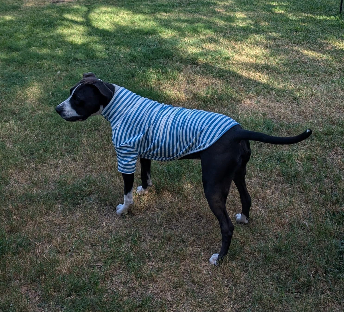 Turtleneck Dog Shirt Cute Doggie Embroidery Super Soft Dog Sweatshirt Stretchy Striped Puppy Pullover for Cats Small Medium Large Dogs (Blue Striped / XXX-Large)