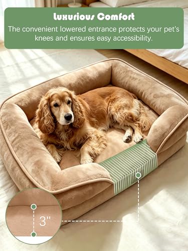 Orthopedic Dog Bed with Sides (35.0"L x 25.0"W x 6.5"Th / Brown)
