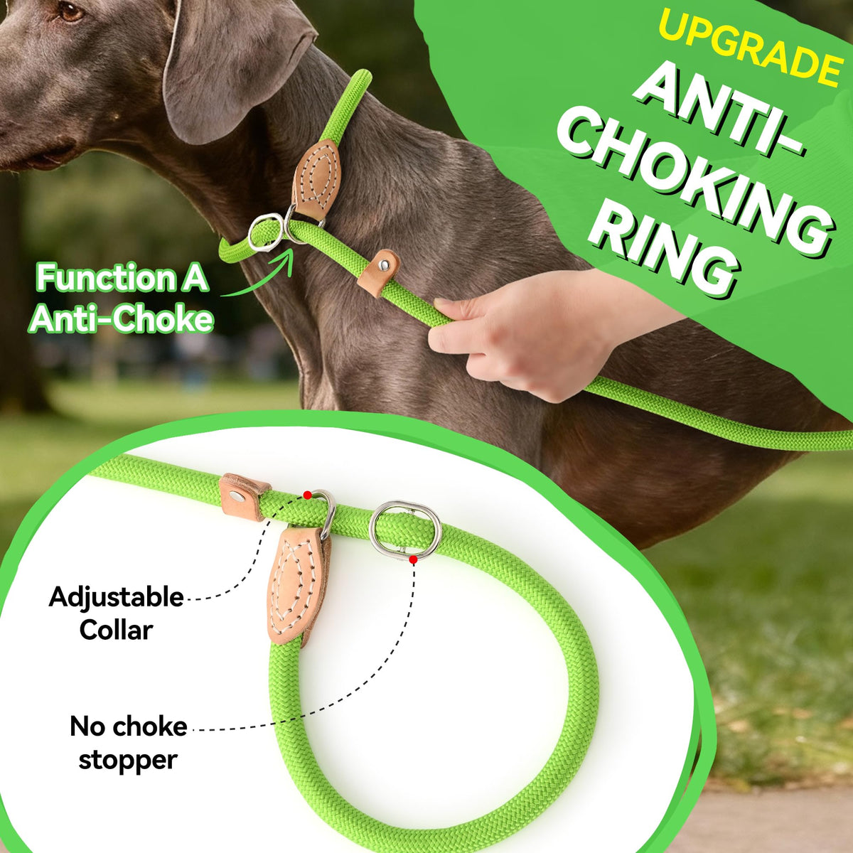 Heavy Duty Slip Lead No Pull Leash 6 (Lime Green / 4 Feet)