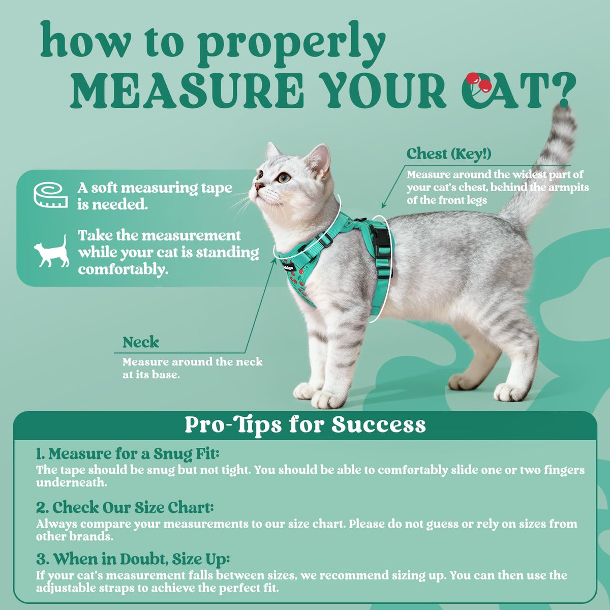 Cat Harness and Leash Set (Xs / Cherry Grove)