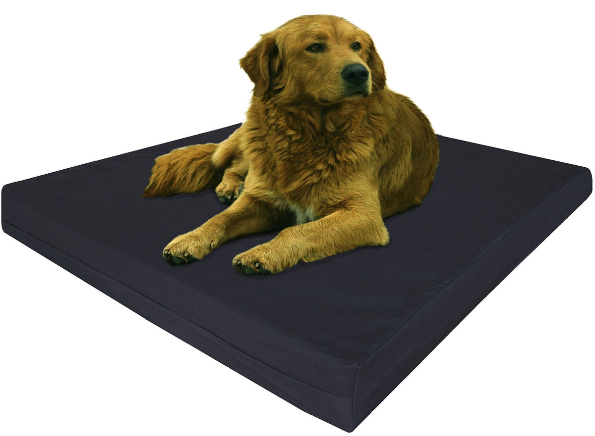 Extra Large True Orthopedic Gel Memory Foam Dog Bed (XL 40" Length X 35" Width / Canvas in Black)