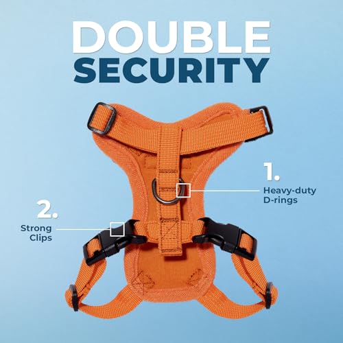 Voyager Step in Lock Cat Harness & Leash Set (Orange / XXXS (Chest: 10.5 - 13"))