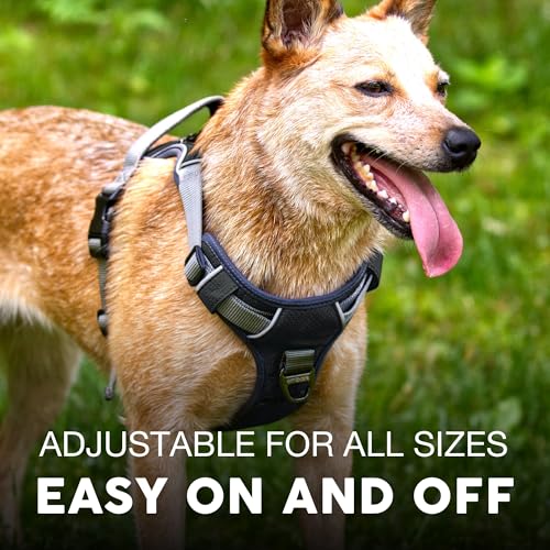 Embark No Pull Dog Harness (S / Black)