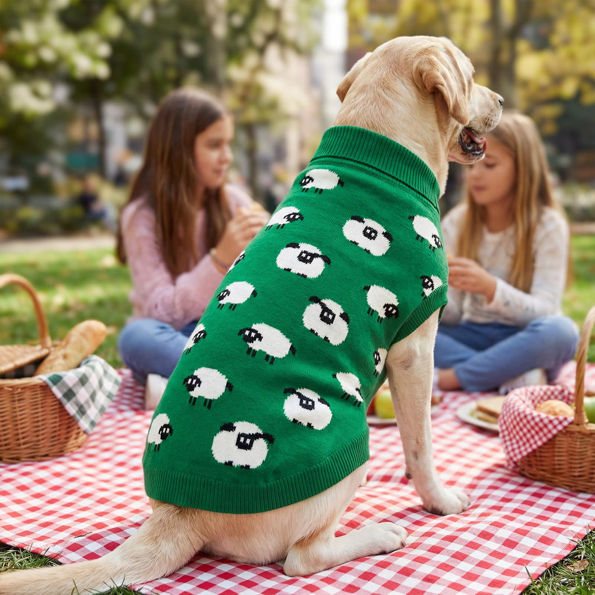 Warm Dog Sweater with Cute Sheep Pattern Dog Sheep Knit Sweater Thermal Puppy Clothes Soft Breathable Pet Knitwear Cozzy Pet Pullover Outfit for Small Medium Large Dogs XL (X-Large)