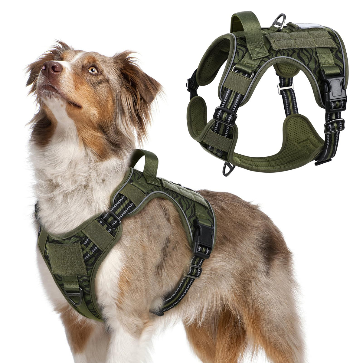 Tactical Dog Harness for Large (Green Desert / Medium)