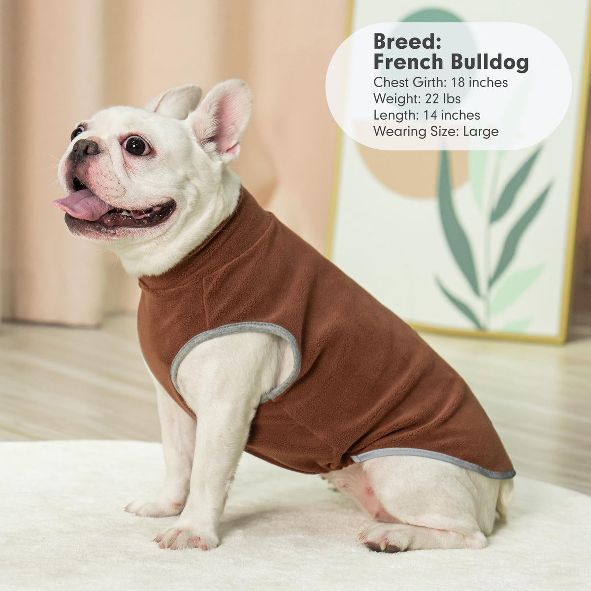 2 Pack Fleece Dog Sweater Pullover Lightweight Reflective Jacket (Small / Brown & Khaki)