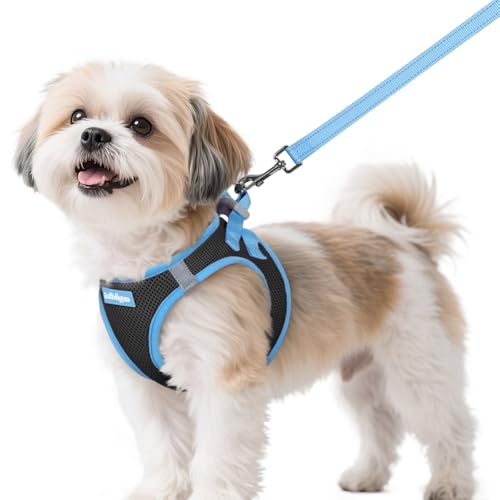 Dog Harness Small Sized and Leash Set (Black & Blue / S (Chest: 15.1"-16.5"))