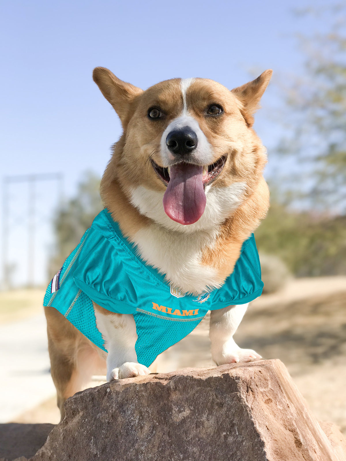 NFL MIAMI DOLPHINS DOG Jersey (X-Small / Miami Dolphins)