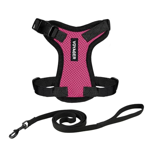 Voyager Step in Lock Cat Harness & Leash Set (Fuchsia/Black Trim / S (Chest: 15 - 18"))