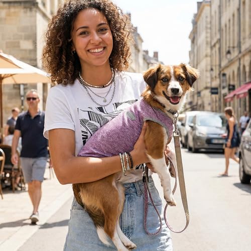 3 Pack Lightweight Sun Protection Dog Shirt Breathable Sleeveless Dog T Shirts Extra Soft Top Tank Dog Clothes for Outdoor Activities (Purple + Skin Pink + Light Pink / M (Back: 14.6",Chest: 19.7", Neck 13.4"))