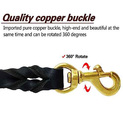 Black Leather Dog Leash 6ft x 5 (6 ft x 5/8 inch / Black)