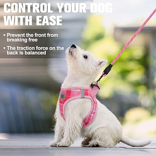 Small Dog Harness and Leash Set (Medium(Chest Girth 16" - 18") / Light Pink)