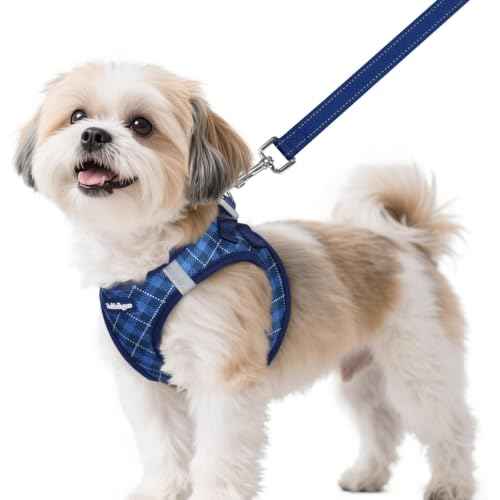 Dog Harness Small Sized and Leash Set (Navy Blue Plaid / S (Chest: 15.1"-16.5"))