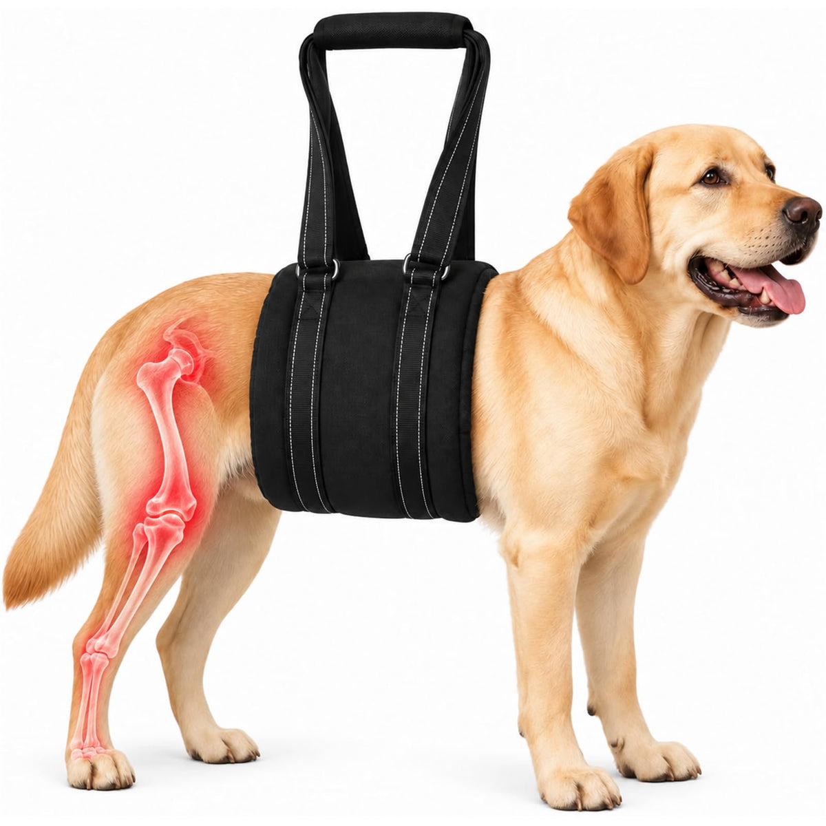 Adjustable Dog Sling for Large Dogs (Large)