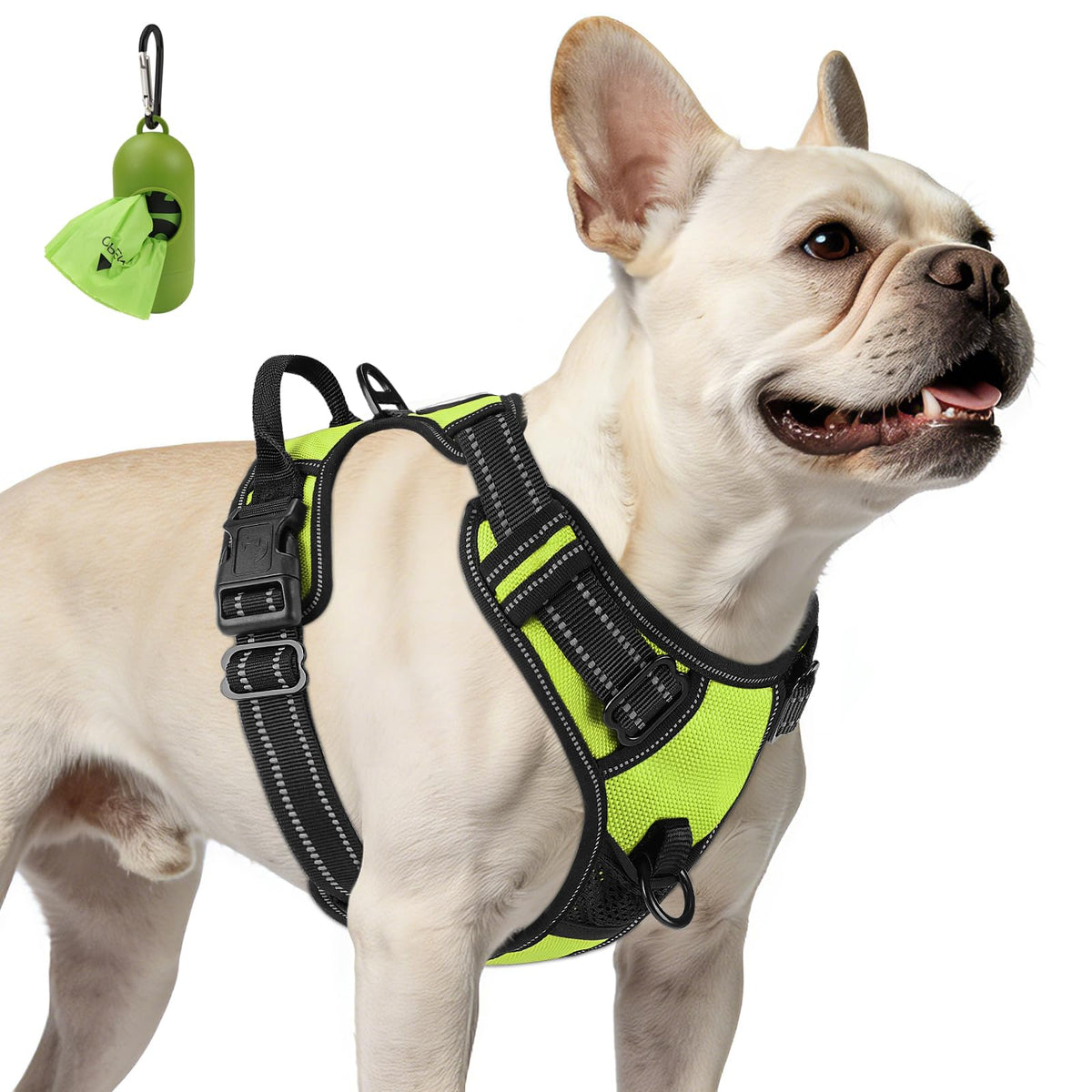No Pull Dog Harness for Small Dogs (Small / Green)