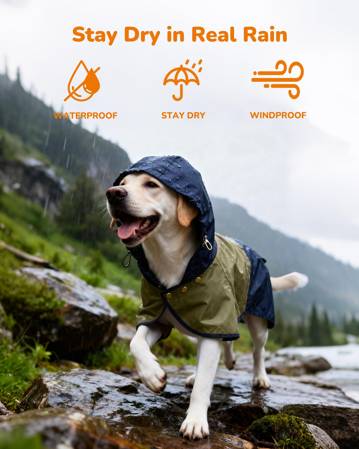 Waterproof Dog Raincoat with Hood (XX-Large / Blue-Green)