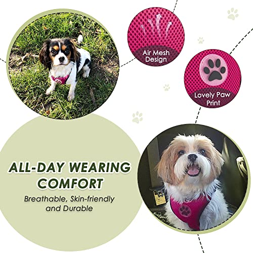 Dog Seat Belt and Harness for Car (Fuchsia / Medium)