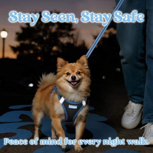 Dog Harness Small Sized and Leash Set (Black & Blue / M (Chest: 16.0"-18.5"))