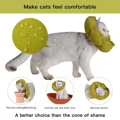Soft Cat Cone Collar (L-Standard / Green Flower)
